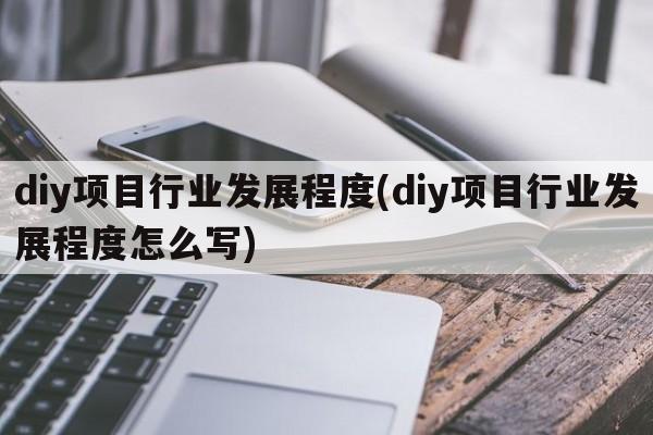 diy项目行业发展程度(diy项目行业发展程度怎么写)